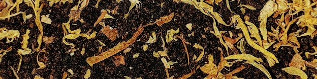 Masala Chai
