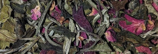 Organic Meditative Mind